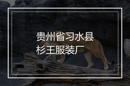 贵州省习水县杉王服装厂