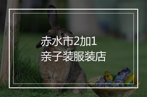 赤水市2加1亲子装服装店