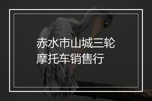赤水市山城三轮摩托车销售行