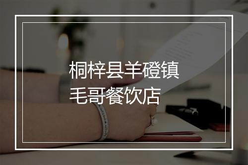 桐梓县羊磴镇毛哥餐饮店