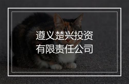 遵义楚兴投资有限责任公司