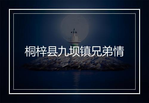 桐梓县九坝镇兄弟情