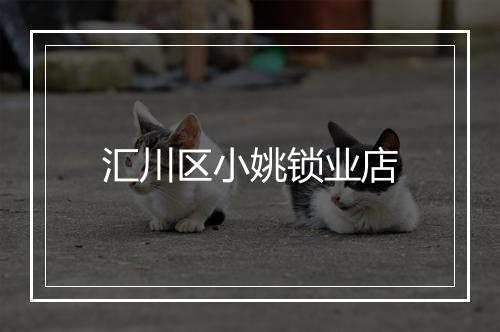 汇川区小姚锁业店