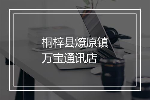 桐梓县燎原镇万宝通讯店