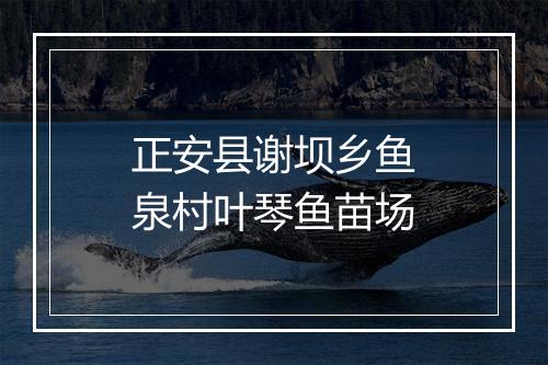 正安县谢坝乡鱼泉村叶琴鱼苗场