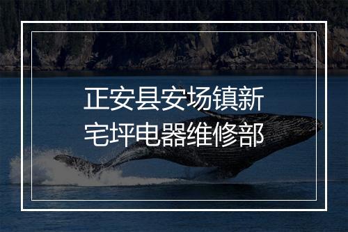 正安县安场镇新宅坪电器维修部