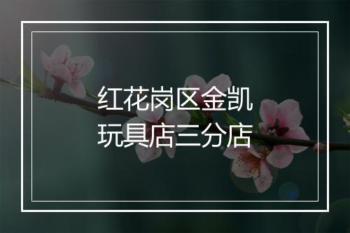 红花岗区金凯玩具店三分店