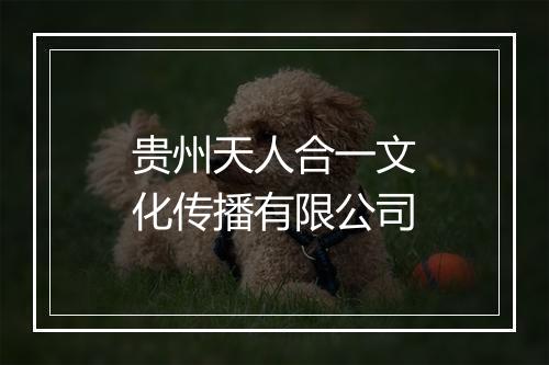 贵州天人合一文化传播有限公司