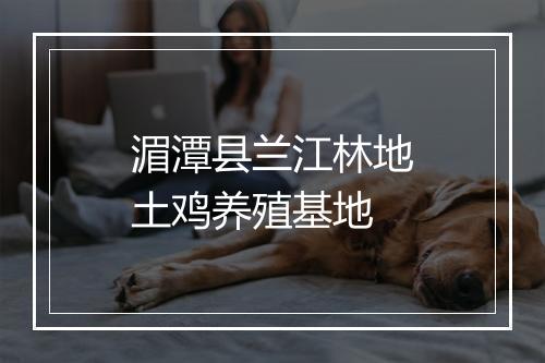 湄潭县兰江林地土鸡养殖基地