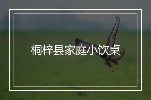 桐梓县家庭小饮桌