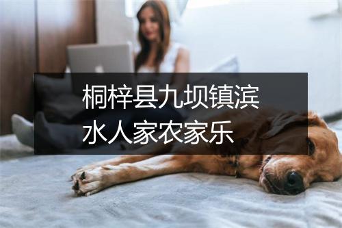 桐梓县九坝镇滨水人家农家乐