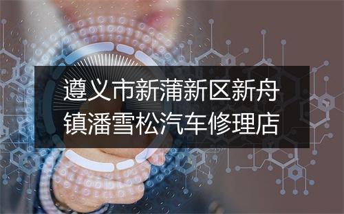 遵义市新蒲新区新舟镇潘雪松汽车修理店