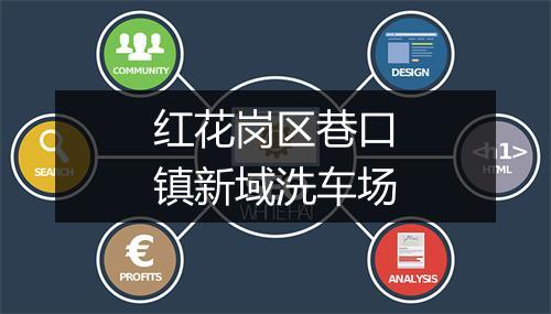 红花岗区巷口镇新域洗车场