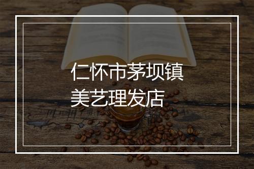 仁怀市茅坝镇美艺理发店