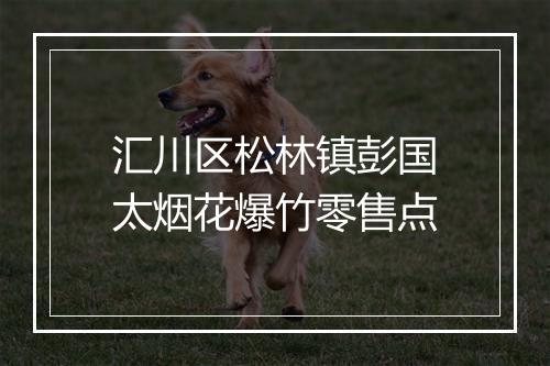 汇川区松林镇彭国太烟花爆竹零售点