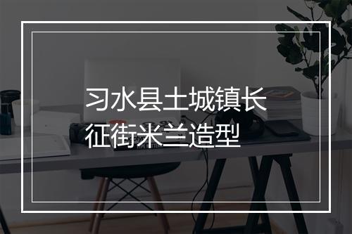 习水县土城镇长征街米兰造型