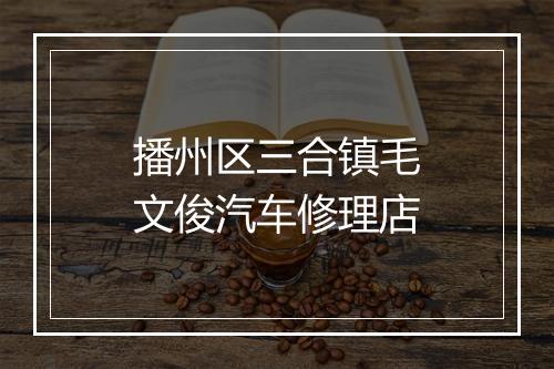 播州区三合镇毛文俊汽车修理店