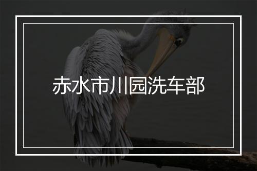 赤水市川园洗车部