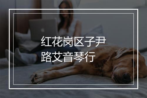 红花岗区子尹路艾音琴行