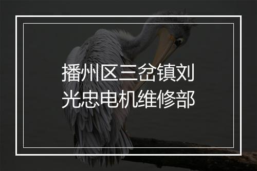 播州区三岔镇刘光忠电机维修部