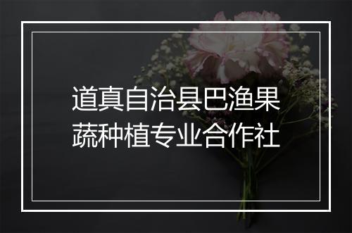 道真自治县巴渔果蔬种植专业合作社