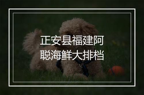 正安县福建阿聪海鲜大排档