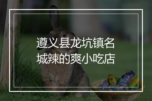 遵义县龙坑镇名城辣的爽小吃店