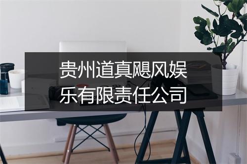 贵州道真飓风娱乐有限责任公司