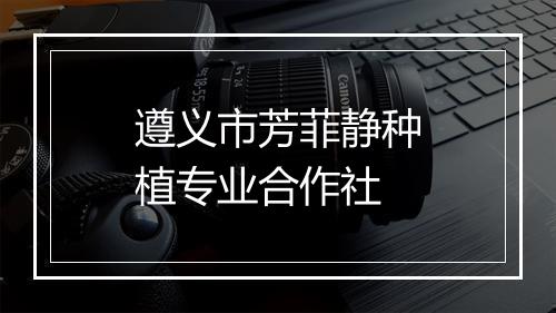 遵义市芳菲静种植专业合作社
