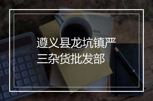 遵义县龙坑镇严三杂货批发部