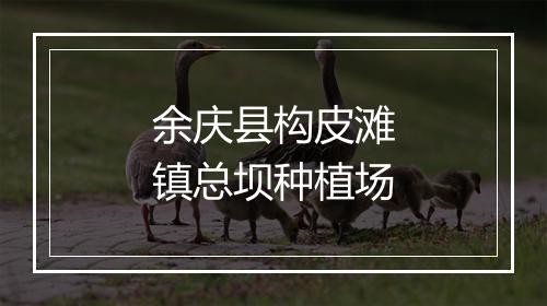 余庆县构皮滩镇总坝种植场