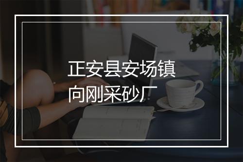 正安县安场镇向刚采砂厂