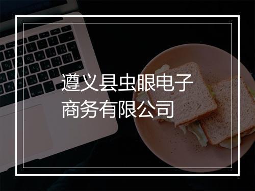 遵义县虫眼电子商务有限公司