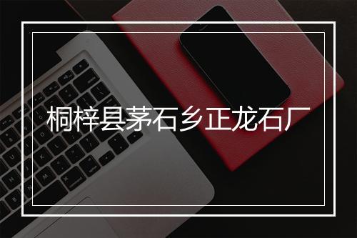 桐梓县茅石乡正龙石厂