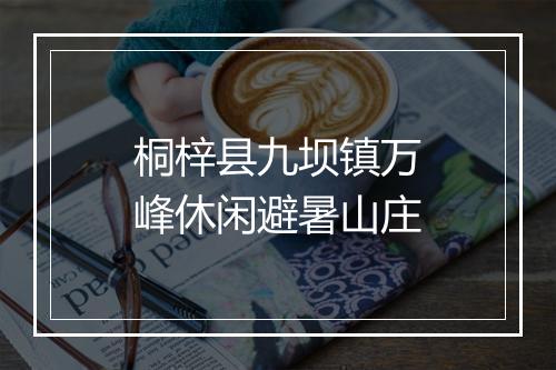 桐梓县九坝镇万峰休闲避暑山庄