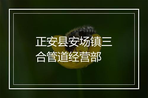 正安县安场镇三合管道经营部