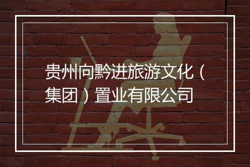 贵州向黔进旅游文化（集团）置业有限公司