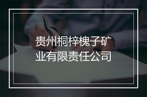 贵州桐梓槐子矿业有限责任公司