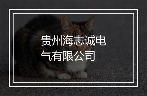 贵州海志诚电气有限公司
