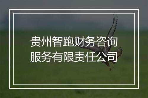 贵州智跑财务咨询服务有限责任公司