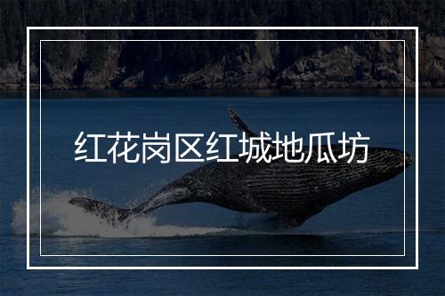 红花岗区红城地瓜坊