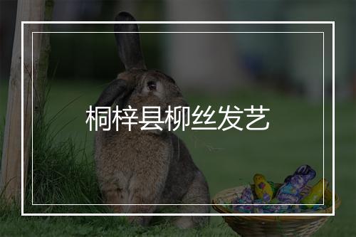桐梓县柳丝发艺