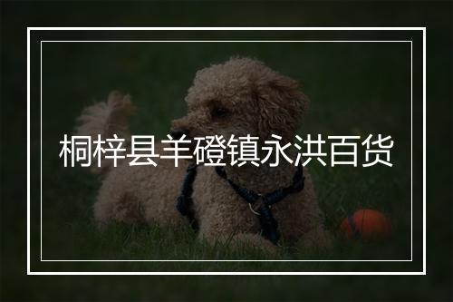 桐梓县羊磴镇永洪百货