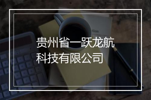 贵州省一跃龙航科技有限公司