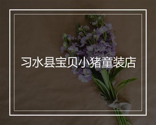 习水县宝贝小猪童装店
