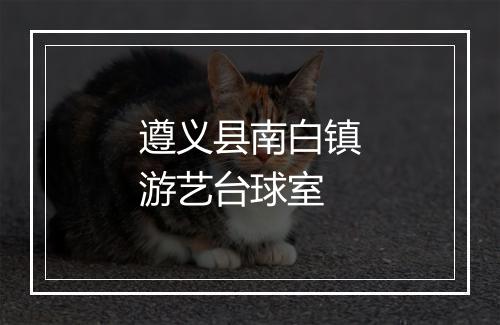 遵义县南白镇游艺台球室