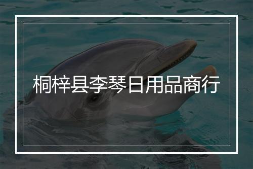 桐梓县李琴日用品商行