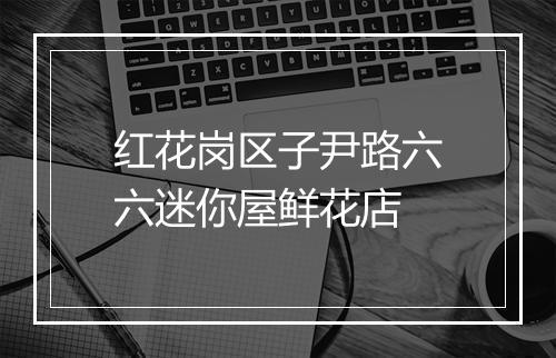 红花岗区子尹路六六迷你屋鲜花店