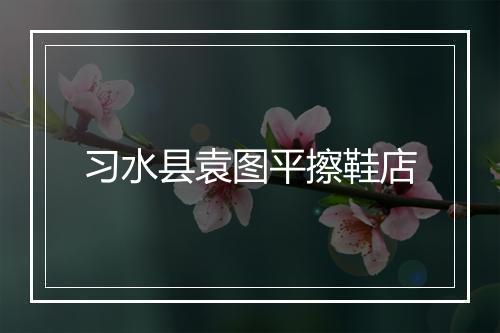 习水县袁图平擦鞋店