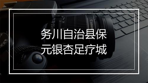 务川自治县保元银杏足疗城